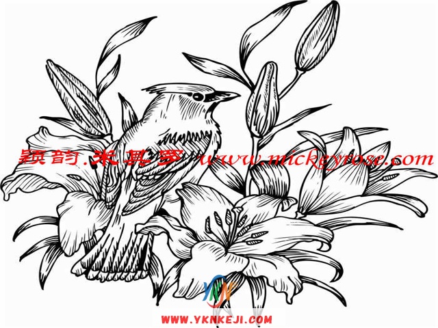 兰舍动物篇：CZ1003