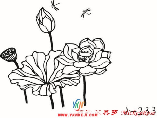 兰舍壁纸花系列：hkfg-129