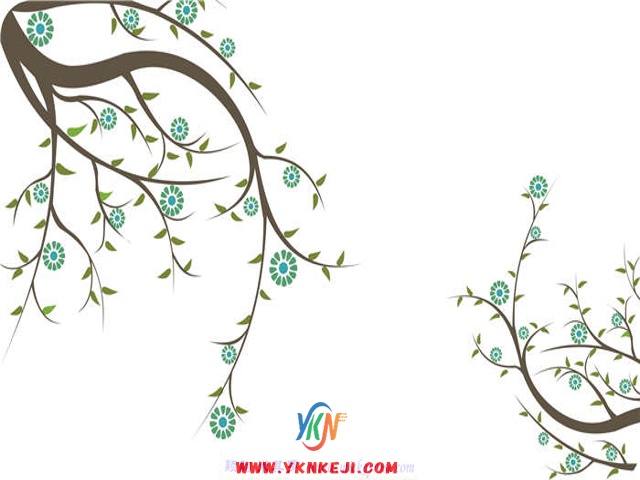 兰舍对花系列：djh27
