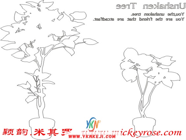 兰舍花盆篇：zw02