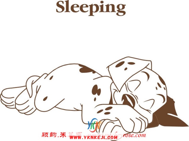 兰舍卡通系列：dw22