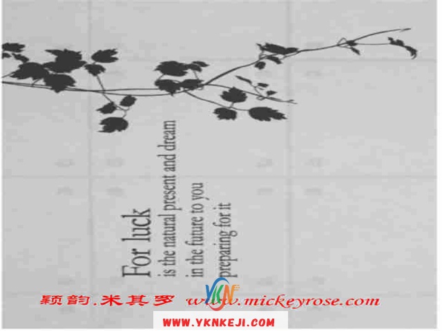 兰舍人物篇：DHKFG-81