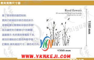 兰舍人物篇：sh56