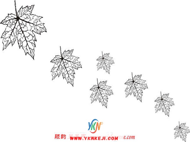 兰舍散花系列：dh62