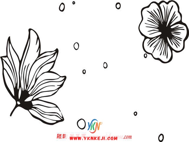 兰舍散花系列：dh66