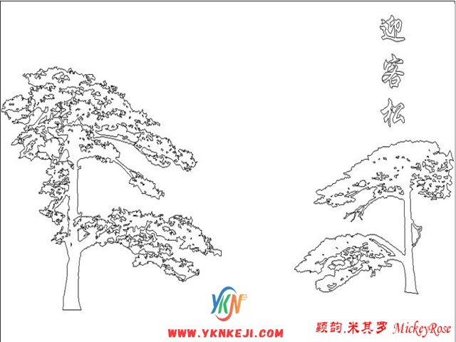 兰舍树木主题：qqsh-78