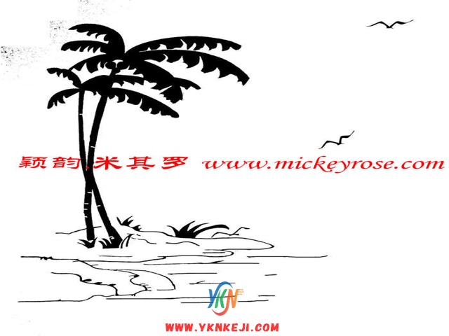 兰舍椰树：CX1043