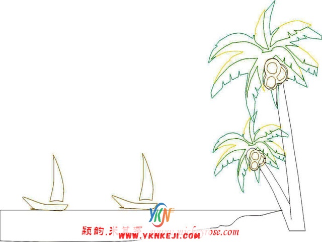 兰舍椰树：s06
