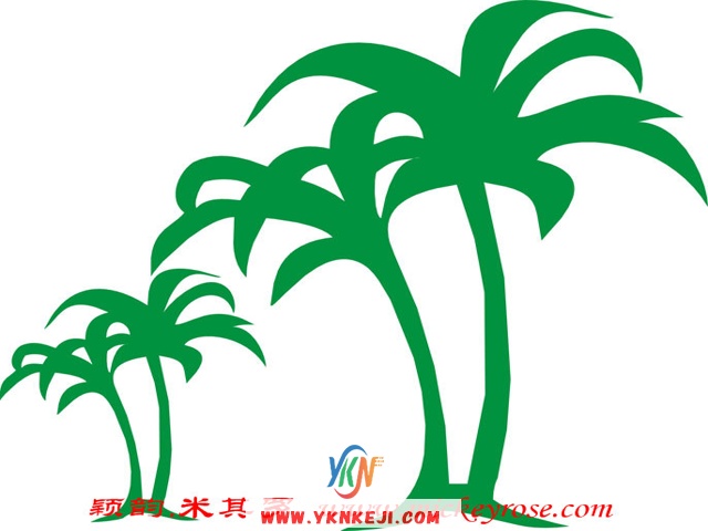 兰舍椰树：s30