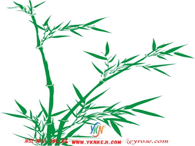 兰舍竹子篇：s36