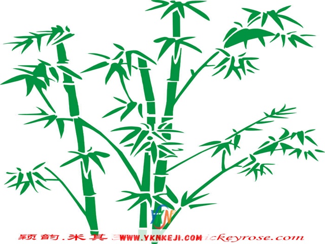 兰舍竹子篇：sf41
