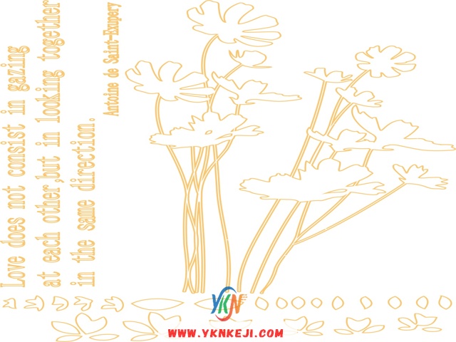 中式风格 花开富贵HKFG-16: