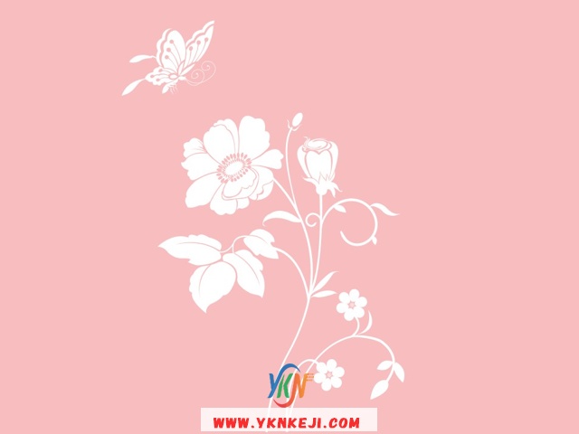 中式风格 花开富贵HKFG-189: