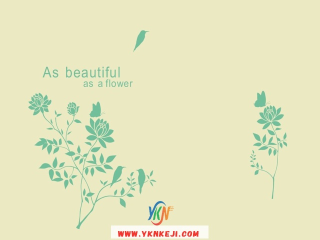 中式风格 花开富贵HKFG-333: