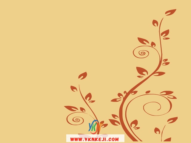 中式风格 花开富贵HKFG-359: