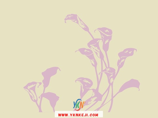 中式风格 花开富贵HKFG-361: