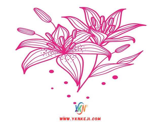 中式风格 花开富贵HKFG-41: