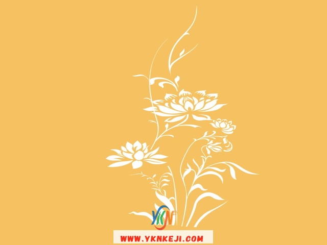 中式风格 花开富贵HKFG-419: