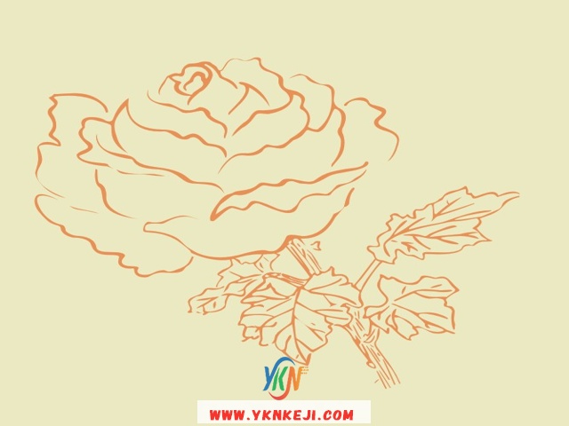 中式风格 花开富贵HKFG-443: