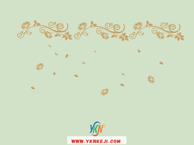 中式风格 花开富贵HKFG-482: