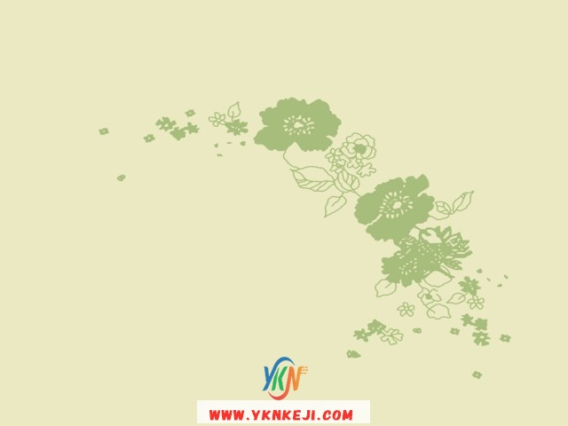中式风格 花开富贵HKFG-520: