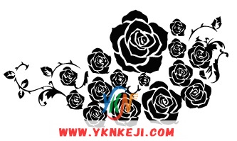 中式风格 花开富贵HKFG-537: