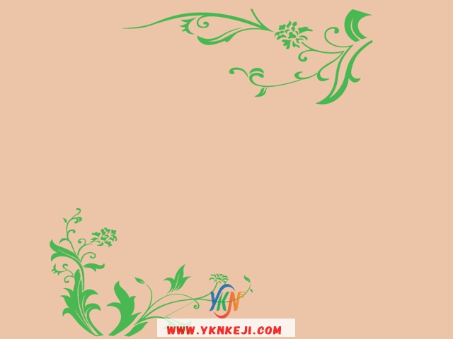 中式风格 花开富贵HKFG-553: