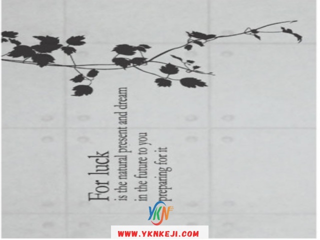 中式风格 花开富贵HKFG-81: