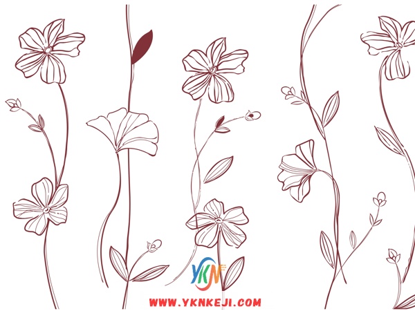 BZH13 壁纸花系列：郁金香花矢量图