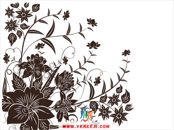 DH48 单花系列: