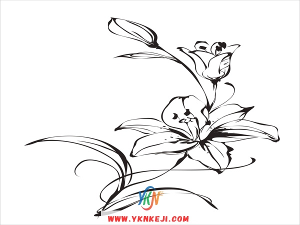 DH56 单花系列: