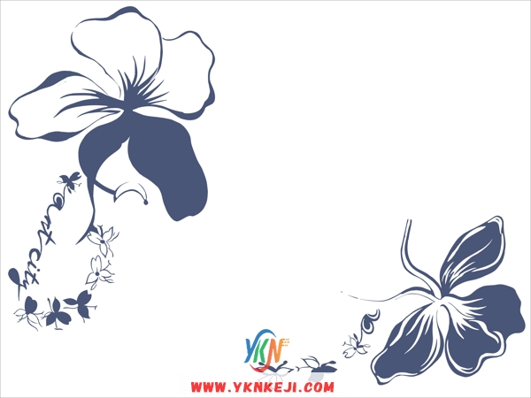 DJH3 对花系列: