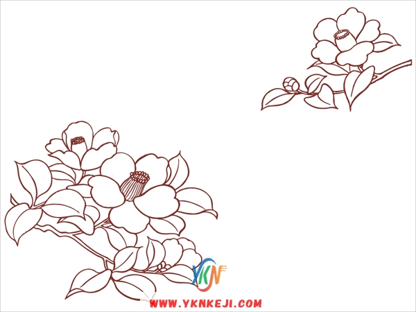 DJH5 对花系列: